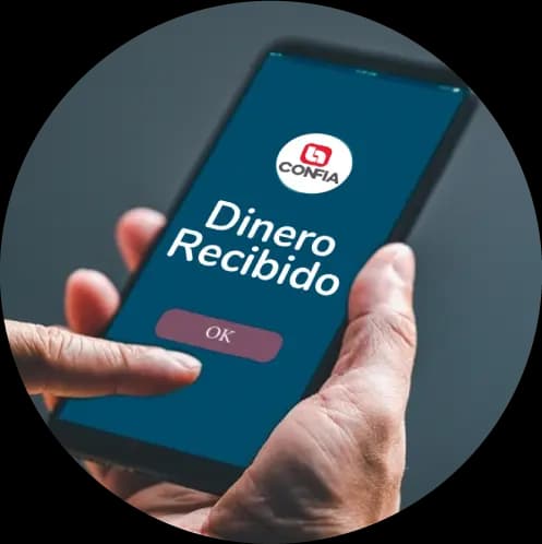 Dinero Recibido